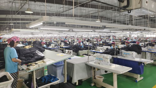 山东农村阿姨和机械臂配合,让这家羽绒服工厂销售过亿 聪明的工厂